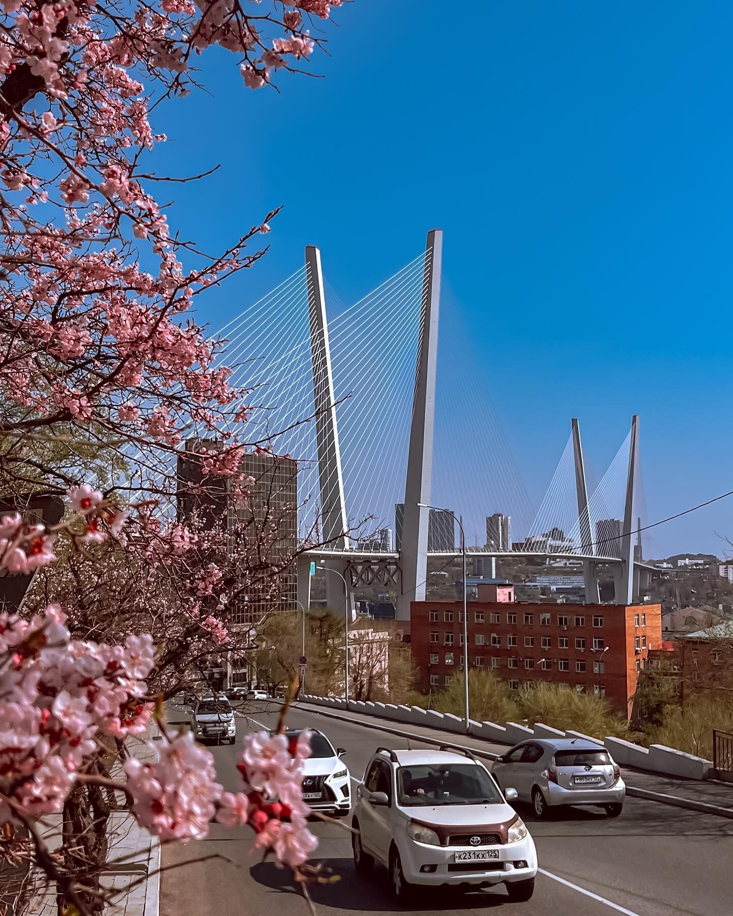 #владивосток #россия #весна #сакура